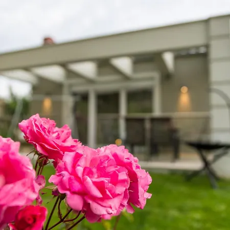 Villa Ammos Seaside *