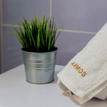 Ammos Seaside Villa *