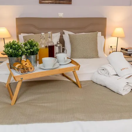 Ammos Seaside Villa *